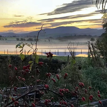 Springlea Dom wakacyjny *